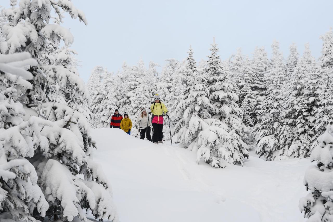 The Black Bear Lodge At Stratton Mountain Resort Buitenkant foto